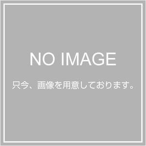 エスコ サイドシート(テント用/OD) EA915-19