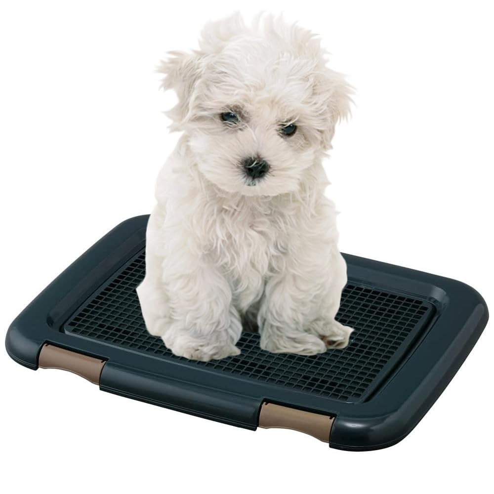 アイリスオーヤマ 犬 トイレ メッシュカバー付 フチもれしにくいトレーニングペットトレー レギュラー 銀イオン配合 抗菌 ネイビー